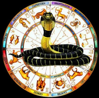 Kaal Sarp Dosha  Removal